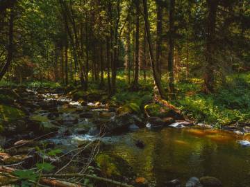 Zur Ritterschule und zum Alten Fluss