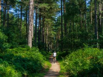 Der Weg des Glaubens
