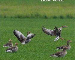 Ubytování Třeboň